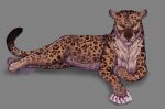  card felid feral leopard mammal pantherine poker 