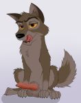  balls balto balto_(film) bedroom_eyes canid canine canis erection feral fluffy fluffy_tail half-closed_eyes horny_(disambiguation) hybrid knot lewd_(disambiguation) licking looking_at_viewer male mammal seductive sitting skateryena spread_legs spreading tongue tongue_out wolfdog 