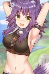  1girl aki_makoto animal_ear_fluff animal_ears armpits arms_behind_head bare_arms bare_shoulders blurry blurry_background blush breasts commentary_request eyebrows_visible_through_hair fang highres large_breasts looking_at_viewer masa_masa medium_hair midriff navel open_mouth outdoors princess_connect! princess_connect!_re:dive purple_hair sleeveless solo tail upper_body wolf_ears wolf_tail yellow_eyes 