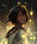  1girl au backlighting brown_hair commentary commission english_commentary eyelashes final_fantasy final_fantasy_xiv fireflies from_behind headpiece highres hood hood_down lips looking_up nose portrait ra sangrde short_hair solo upper_body yellow_eyes 