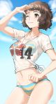  1girl beach bikini black_hair blush breasts brown_eyes brown_hair cleavage collarbone highres kawakami_sadayo kurosususu medium_breasts persona persona_5 shirt short_hair sky smile solo swimsuit wer 