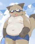  2019 absurd_res anthro belly blush brown_fur canid canine clothing ekubo fur hi_res humanoid_hands male mammal moobs navel nipples overweight overweight_male raccoon_dog solo swimsuit tanuki wet young 