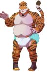  anthro clothing collar daire301 diaper digital_media_(artwork) embarrassed felid footwear fur legwear male mammal muscular muscular_male overweight overweight_male pantherine raised_tail simple_background slightly_chubby socks solo tiger 