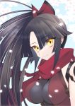  1girl black_hair breasts cherry_blossoms diamond-shaped_pupils fate/grand_order fate_(series) highres katou_danzou_(fate/grand_order) medium_breasts petals ponytail portrait scarf smile symbol-shaped_pupils yellow_eyes 