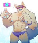  2019 abs absurd_res anthro biceps big_muscles canid canine clothing digital_media_(artwork) dona908 fur hi_res male mammal muscular muscular_male nipples owo pecs standing underwear vr_(disambiguation) 