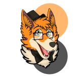  :3 amber ambiguous_gender anthro bow_tie bowler_hat canid canine classy clothing digital_media_(artwork) dis dis_the_fox eye-wear eyewear female feral floof fox foxxo fur hat headshot hi_res looking_at_viewer mammal nom nyletak smile solo teeth 