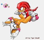  animated knuckles_the_echidna rouge_the_bat sega sonic_team tiger_skunk 