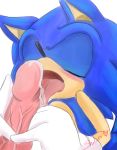  &lt;3 2011 blush cum eulipotyphlan eyes_closed fellatio hedgehog humanoid_penis male male/male mammal open_mouth oral penis sex shilumi solo sonic_(series) sonic_the_hedgehog tongue tongue_out vein veiny_penis 