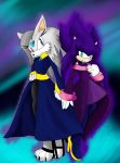  2010 blue_eyes canid canine clothed clothing eulipotyphlan fan_character female footwear gloves hedgehog hi_res mammal purple_eyes shilumi shoes sonic_(series) 