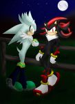  2009 clothed clothing eulipotyphlan footwear gloves hedgehog hi_res male mammal red_eyes shadow_the_hedgehog shilumi shoes silver_the_hedgehog sonic_(series) yellow_eyes 