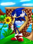  2011 clothing eulipotyphlan footwear gloves green_eyes green_hill_zone hedgehog hi_res male mammal shilumi shoes solo sonic_(series) sonic_the_hedgehog 