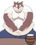  alcohol anthro belly belly_jiggle beverage big_belly brown_fur canid canine canis clothed clothing eye_scar flustered fur iwano male mammal midriff moobs navel obese obese_male overweight overweight_male scar shirt_tug simple_background sitting solo sweat sweatdrop teeth white_background 