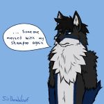  2019 anthro blue_eyes canid canine canis chest_tuft dialogue digital_media_(artwork) fluffy fur fur_markings gloves_(marking) hair male mammal markings simple_background sirdoomwolf solo text tuft void_doomwolf white_fur wolf 
