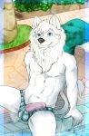  abs athletic balls big_(disambiguation) blue_eyes canid canine canis clothed clothing felid feline fur grin hybrid liolf lion lion_tail lucky_the_liolf male mammal mane pantherine paws penis smile solo sonna topless underwear white_fur wolf 