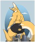  absurd_res anthro bulge butt clothed clothing dissimulated hi_res looking_back macro macropod male mammal marsupial muscular muscular_male solaxe solo standing topless torn_clothing 