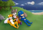  barefoot bite black_nose blue_eyes blue_fur dipstick_tail ear_biting foxxie_softpaws fur hypohate male male/male mammal miles_prower multicolored_tail one_eye_closed pawpads rodent sciurid sleeping sonic_(series) sonic_the_hedgehog 