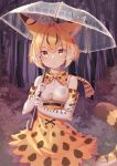 1girl absurdres animal_ears animal_ears_(artist) bare_shoulders belt blonde_hair blush bow bowtie commentary_request cowboy_shot elbow_gloves extra_serval_(kemono_friends) eyebrows_visible_through_hair gloves high-waist_skirt highres japari_symbol kemono_friends multicolored_hair print_gloves print_neckwear print_skirt rain serval_ears serval_print serval_tail short_hair skirt sleeveless solo tail transparent transparent_umbrella umbrella yellow_eyes 