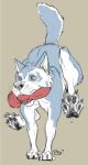  ambiguous_gender canid canine canine_dildo canis dildo domestic_dog feral full-length_portrait hi_res humor knotted_dildo koosh-ball mammal mouth_hold object_in_mouth pawpads paws portrait quadruped running sex_toy solo 