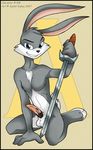  ace_bunny loonatics_unleashed tagme 