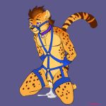  after_sex anthro bdsm bondage bound cheetah colored_sketch cum cum_in_pussy cum_inside cum_leaking cuntboy felid feline hands_behind_back hi_res intersex keishinkae kneeling mammal pussy solo 