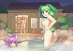  animal_ears cristalavi nude onsen original tail towel 