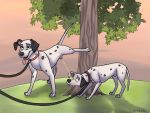  101_dalmatians animal_genitalia canid canine canis collar dalmatian dishka disney domestic_dog feral fully_sheathed fur leash male mammal marking_territory markings outside peeing raised_leg sheath urine watersports white_fur 