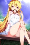  1girl bakemonogatari bangs bare_arms bare_legs bare_shoulders bench blonde_hair blue_sky blush_stickers buta_(uhoiiotoko) day doughnut dress feet_out_of_frame food frilled_dress frills highres holding holding_food legs_crossed long_hair looking_at_viewer monogatari_(series) mouth_hold on_bench oshino_shinobu outdoors park_bench pastry_box pointy_ears sitting skin_fang sky sleeveless sleeveless_dress solo straight_hair sundress very_long_hair white_dress yellow_eyes 
