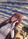  1girl bird black_jacket brown_hair cloud dutch_angle floating_hair jacket long_hair long_sleeves miyai_sen open_clothes open_jacket original outdoors ribbed_sweater solo sweater turtleneck turtleneck_sweater upper_body white_sweater 