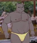  anthro bath bathhouse bulge canid canine chubby_thicc clothing fur hi_res male mammal muscular nipples pecs radcanine slightly_chubby solo underwear woof 