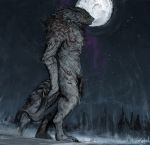  2019 anthro canid canine digital_media_(artwork) male mammal moon night outside solo standing themefinland were werecanid werecanine werewolf 