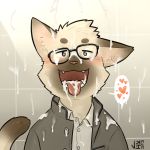  anthro blue_eyes blush brown_fur clothing cum cum_everywhere domestic_cat dress_shirt eyewear felid feline felis fur glasses jacket jeck male mammal messy shirt solo tongue tongue_out whiskers 