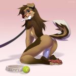  all_fours anthro ball bowl brown_hair butt canid canine canis cheek_tuft danomil dildo domestic_dog fangs female floppy_ears food_bowl green_eyes hair hi_res leash long_hair looking_back mammal masturbation nude pawpads pink_pawpads pussy sex_toy smile solo tennis_ball tuft vaginal vaginal_masturbation zempy 