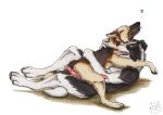  &lt;3 2019 animal_genitalia animal_penis anthro anthro_on_feral bestiality black_fur black_nose blue_eyes border_collie brown_eyes brown_fur canid canine canine_penis canis collie cuddling domestic_dog ears_back eyebrows feral floppy_ears fur german_shepherd kola_(artist) lying male male/male mammal multicolored_fur on_back open_mouth penis precum simple_background tongue tongue_out two_tone_fur white_background white_fur 