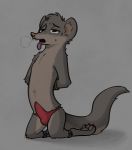  anthro bound breath briefs cheek_tuft chest_tuft claws clothed clothing cute_fangs erection fuel_(artist) grey_background half-closed_eyes hands_behind_back hands_tied head_tuft herpestid hi_res kneeling legs_tied male mammal mongoose open_mouth pawpads precum precum_through_clothing simple_background solo spreader_bar sweat sweatdrop tenting terry_(a-signature) toe_claws tongue tongue_out topless tuft underwear wet wet_clothing 