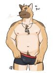  5_fingers anthro blush body_hair boxers_(clothing) bulge canid canine canis cigarette clothing dog_tags domestic_dog german_shepherd happy_trail hi_res jeck jewelry male mammal necklace nipples solo underwear 