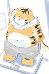  2019 anthro belly clothing dain_4201 felid hi_res male mammal moobs navel overweight overweight_male pantherine shorts solo tiger 