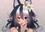 1girl absurdres animal_ears bare_shoulders blue_eyes closed_mouth collarbone earrings extra_ears eyebrows_visible_through_hair feathers fingernails flower gradient gradient_background grey_wolf_(kemono_friends) hair_flower hair_ornament heterochromia highres jewelry kemono_friends light_smile lips lipstick long_hair looking_at_viewer makeup multicolored multicolored_eyes multicolored_hair nail_polish ponta_(matsuokazieg) solo two-tone_hair upper_body wolf_ears wolf_girl yellow_eyes 