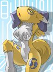  digimon renamon tagme x^j^kny 