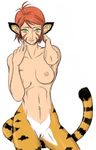  animal_ears breasts breath_of_fire breath_of_fire_ii capcom feline female green_eyes hair human katt looking_at_viewer mammal mizugin nipples pussy solo tiger video_games 