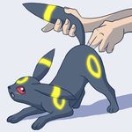  irene pokemon tagme umbreon 