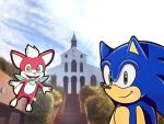  building bush_(disambiguation) canid canine chip_(sonic) eulipotyphlan fox hedgehog male mammal outside plant smile sonic_(series) sonic_the_hedgehog sonic_unleashed specialzone 