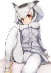  1girl bangs black_hair blush brown_eyes coat crotch_seam eyebrows_visible_through_hair frown fur_collar grey_coat grey_hair hair_between_eyes head_wings highres kemono_friends knee_up long_sleeves looking_at_viewer multicolored_hair northern_white-faced_owl_(kemono_friends) pantyhose shoes short_hair simple_background sitting solo teranekosu thighband_pantyhose white_background white_legwear yellow_footwear 