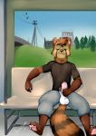  anthro balls bastion clothing erection exhibitionism foreskin hi_res humanoid_penis male mammal masturbation pants pawpads penis precum procyonid public raccoon shirt solo t-shirt 