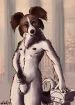  anthro canid canine canis digital_media_(artwork) domestic_dog ironwood looking_at_viewer male mammal nipples nude open_mouth penis solo 