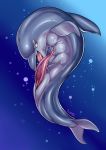  2017 absurd_res animal_genitalia animal_penis anus auto_penis_lick blue_background bubble cetacean cetacean_penis cum cumshot delphinoid ejaculation erection fin genital_slit hi_res licking male mammal marine masturbation open_mouth oral oral_masturbation orgasm penile_masturbation penis pink_penis red_eyes saliva sharp_teeth simple_background slit solo tamanosuke tapering_penis teeth tongue tongue_out toothed_whale underwater water 