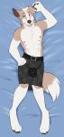  2019 absurd_res anthro bed belt border_collie canid canine canis claws clothed clothing collie dakimakura_design digital_media_(artwork) domestic_dog fur hair herding_dog hi_res invalid_tag kilt looking_at_viewer lying male mammal multi_nipple nipples on_back open_mouth pads_(disambiguation) pawpads rusty sheepdog shimmi simple_background smile solo teeth toe_claws tongue topless 