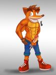  absurd_res anthro clothed clothing crash_bandicoot crash_bandicoot_(series) hi_res humanoid_penis male naughty_dog penis raven2dx solo sony_corporation sony_interactive_entertainment video_games 