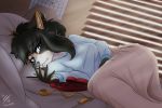  anthro bed black_hair blue_eyes candy canid canine chocolate crying depression female food hair holidays mammal phone sad sally_(povinne10) solo tears valentine&#039;s_day vlc525 