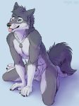  2019 4_toes 5_fingers abs animal_genitalia anthro athletic balls black_nose blue_background blue_eyes canid canine canis digitigrade fingerpads fully_sheathed fur gloves_(marking) grey_fur kiba kneeling male mammal marjani markings multicolored_fur muscular nipples nude one_eye_closed pawpads paws sheath simple_background smile socks_(marking) solo toes tongue tongue_out two_tone_fur white_background white_fur wink wolf 