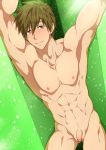  1boy abs armpits arms_up brown_hair closed_mouth collarbone eyebrows_visible_through_hair flaccid free! green_background green_eyes looking_at_viewer male male_focus muscle navel nipples nude smile solo tachibana_makoto tareme testicles thighs wet zamius 